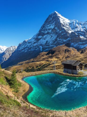swiss